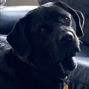 Meet your Posher, Mike